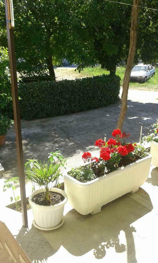 Apartman Danijela Zagorje المظهر الخارجي الصورة