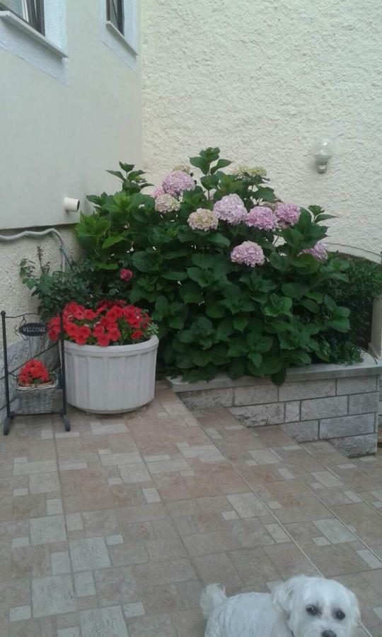 Apartman Danijela Zagorje المظهر الخارجي الصورة